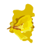 Ball 1