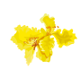 Ball 3